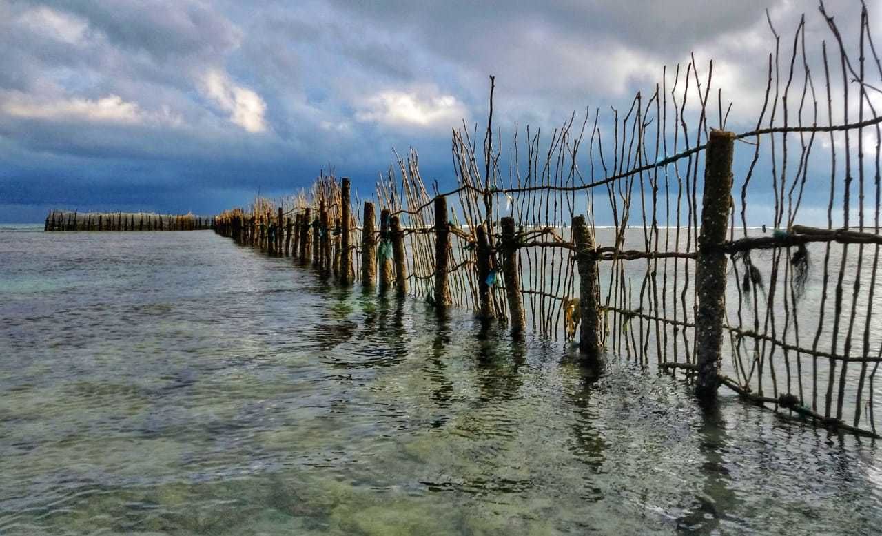 on the beach, white sand, windsurfing, 3 beach bars