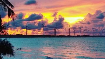 On the beach, white sand, windsurfing, 3 beach bars