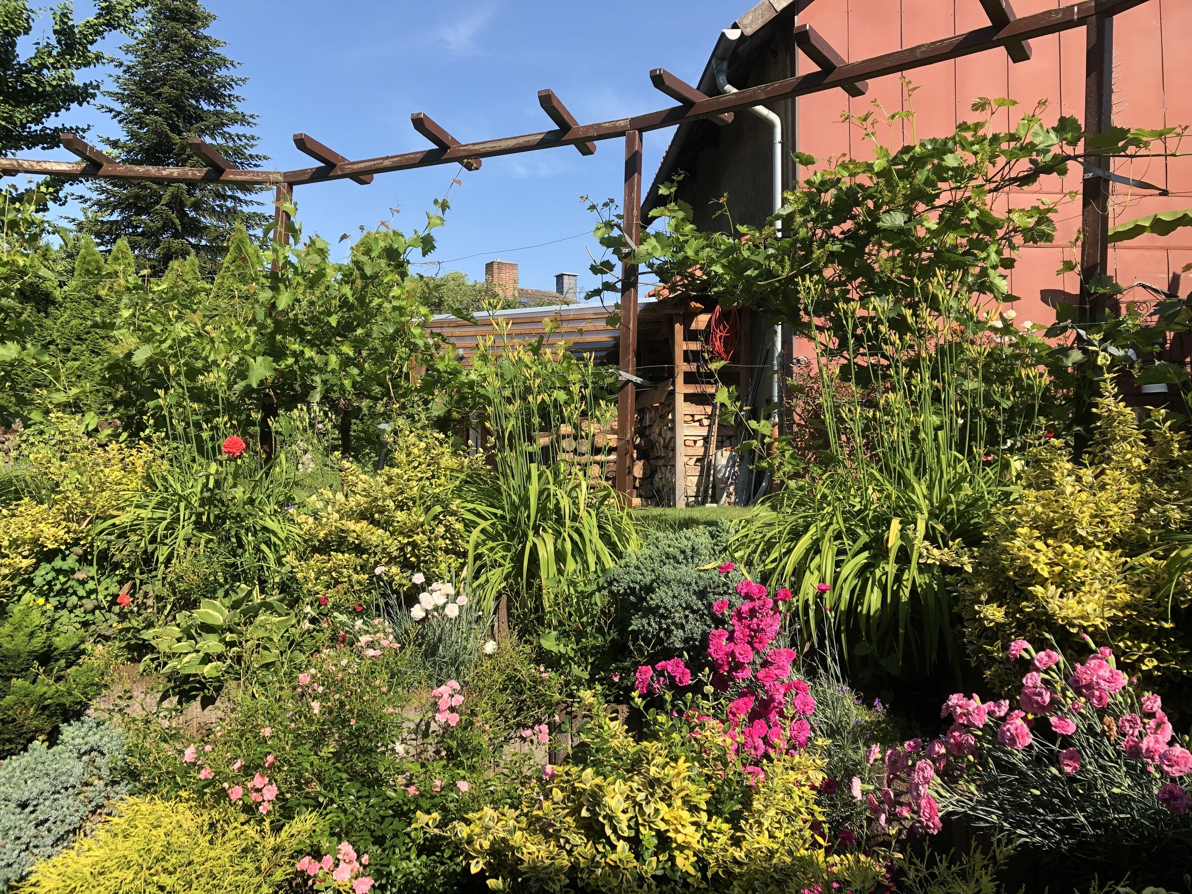 Comfort Condo, 1 King Bed with Sofa bed, Garden View | Garden view