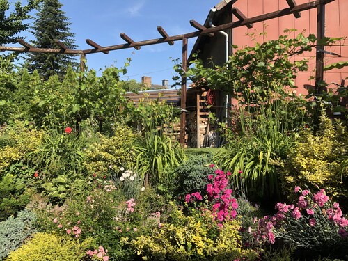 Ferienwohnung Dettum