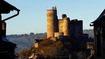 A historic castle with a prominent tower, situated on a hill overlooking a town with traditional buildings.