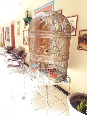 Flat-screen TV - Hotel Janeiro (Guadalajara)