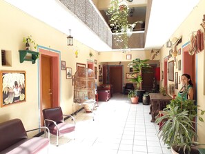 Flat-screen TV - Hotel Janeiro (Tonalá)