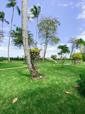 Garden - Apartamentos Playa Marina (Las Terrenas)