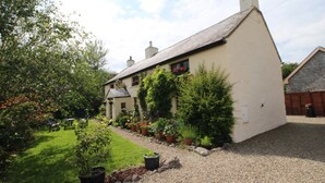 A traditional house with a sloped roof, a front garden with potted plants, and a gravel driveway. - 300 Year old Tradition Irish Cottage (Rathkeale)