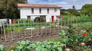 A white building with a red-tiled roof, surrounded by a garden with various plants and a wooden fence. - New detached house 2 km from Ondres beach, ideal for 6, 8 people (Ondres)