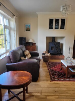 Smart TV, fireplace, Netflix, DVD player