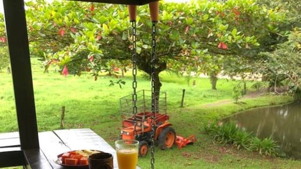 A wooden table with a plate of fruit, a glass of orange juice, and a mug, set outdoors with a view of a garden and a tractor in the background. - Finca el Refugio de Papito (El Molino)
