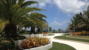 A landscaped pathway with palm trees and manicured lawns, leading to a building with a white facade. - Beautiful Studio on the Beach at The Decoplage (Miami Beach)