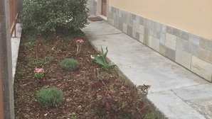 A narrow pathway flanked by a low concrete wall and a building with a beige exterior. - Casa Salice (Racconigi)
