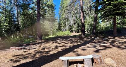 SKI- JA KESÄKÄYTTÄVÄT HUOLTOAINEET Golf, tennis, hiihto, uima-altaat, poreallas