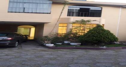 Single room at Hostal Mochileros Tacna