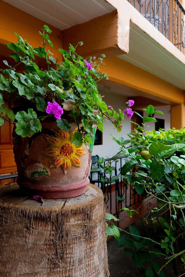 Une plante en pot, ornée de fleurs, posée sur un tronc d’arbre.
