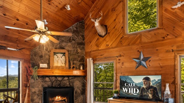 A cozy cabin interior with a fireplace, wooden walls, a mounted deer head, a television, and a star decoration. - Call of the Wild, Blue Ridge, GA (Morganton)