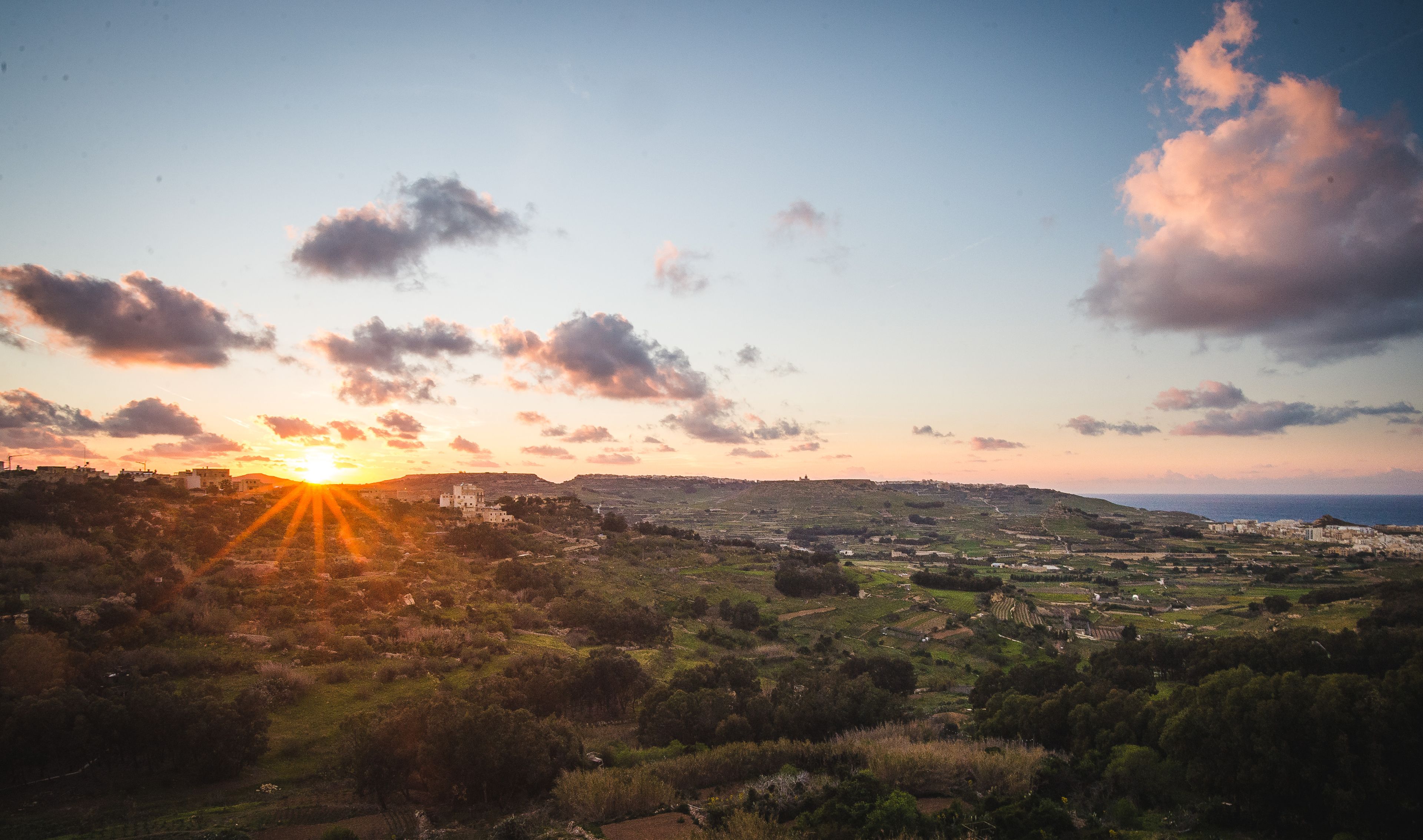 Foto - Paradise Gardens