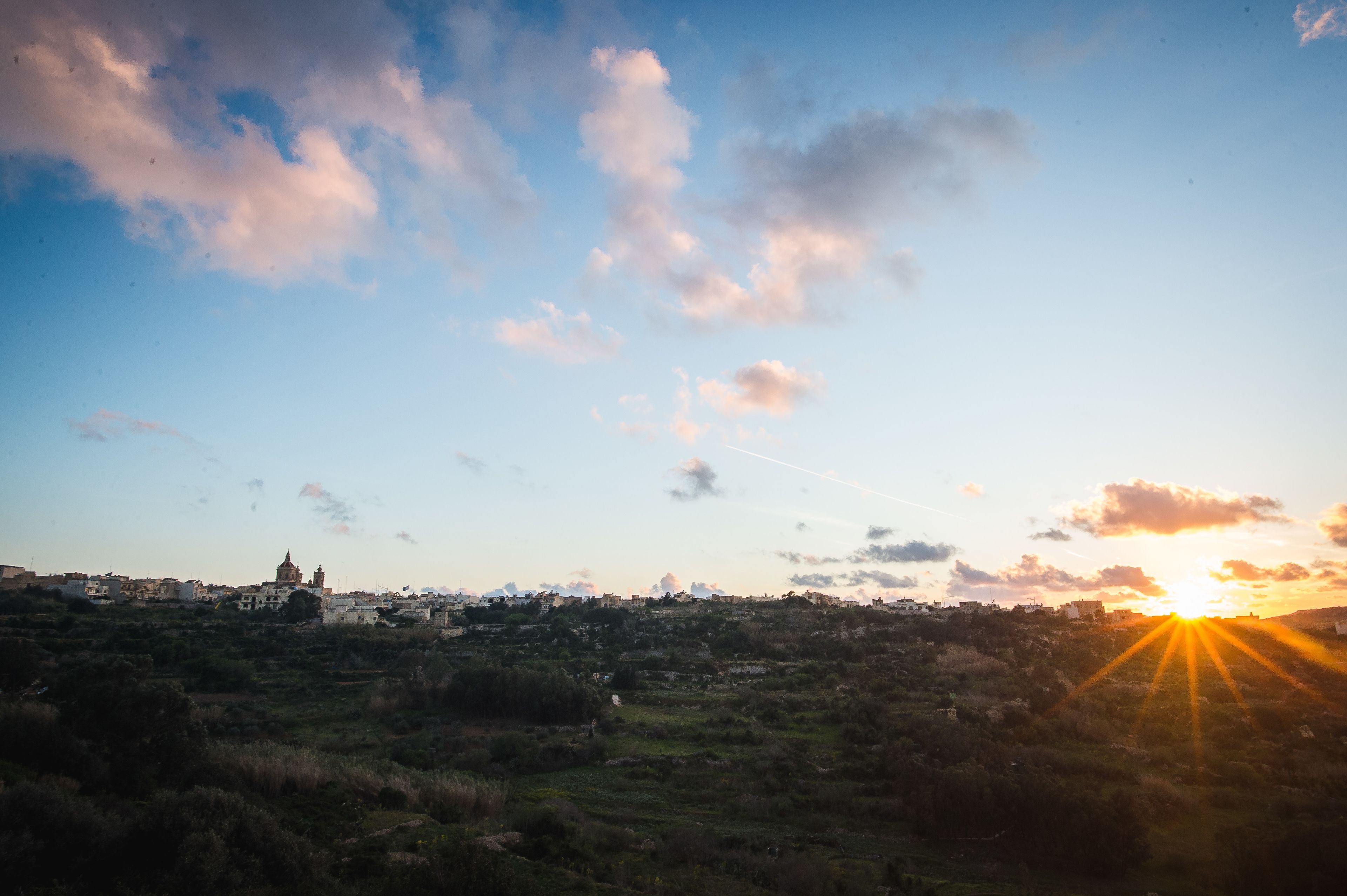 Foto - Paradise Gardens