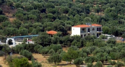 Domaine Papakonstantis