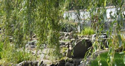 Gite "L' ARAUCARIA" vue magnifique  proche Munster