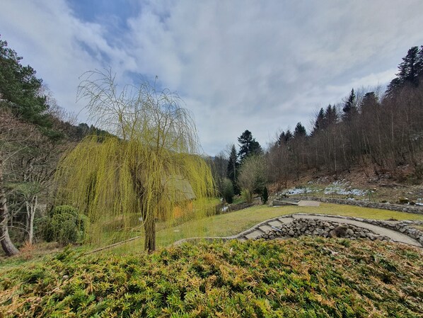 Áreas de la propiedad