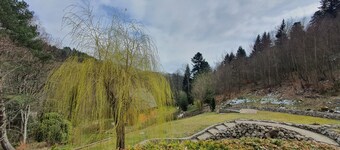 Gite "L 'ARAUCARIA" by the pool at DOMAINE "La Villa Moraine" Munster