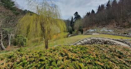 Ferienhaus "L 'ARAUCARIA" am Pool der DOMAINE "La Villa Moraine" in Münster