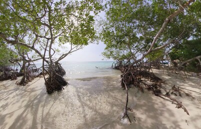 Comunidad Puerto caracol Isla Múcura