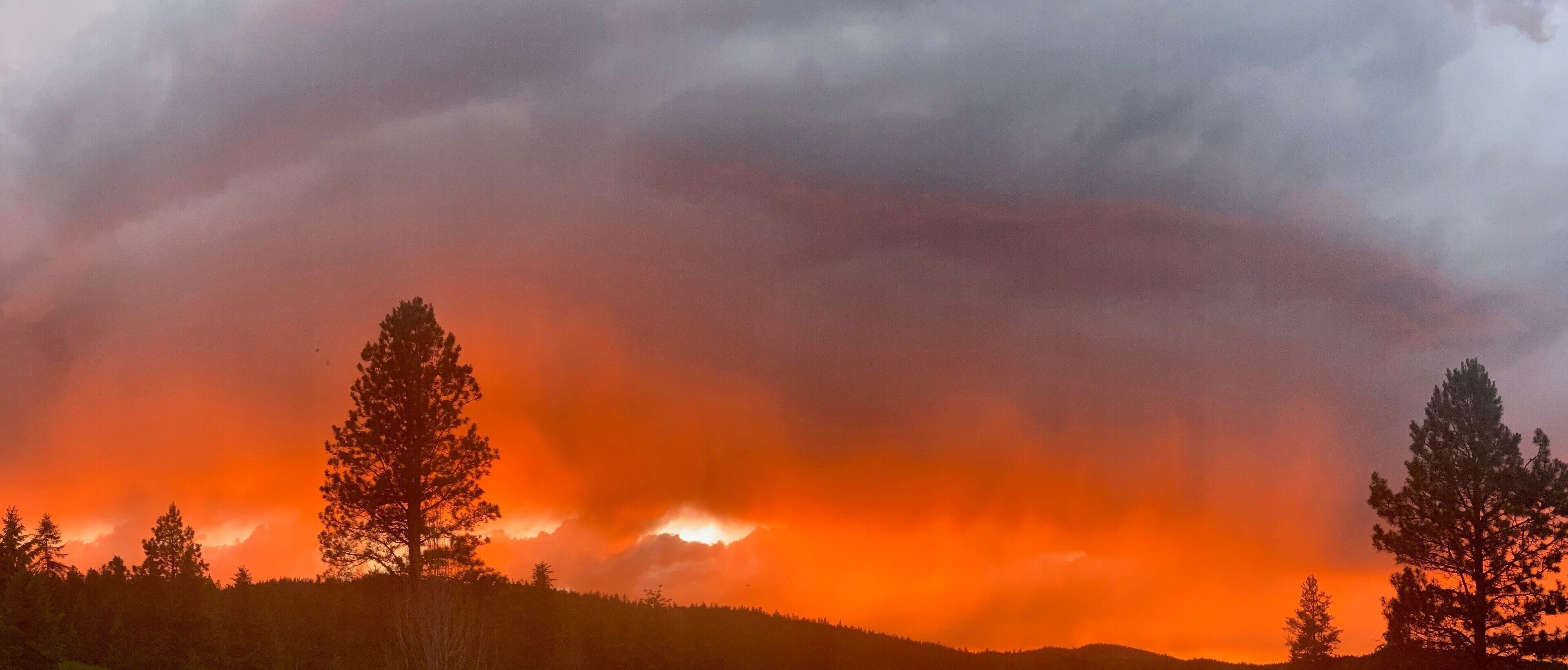 A sunset with a dramatic sky and silhouetted trees.