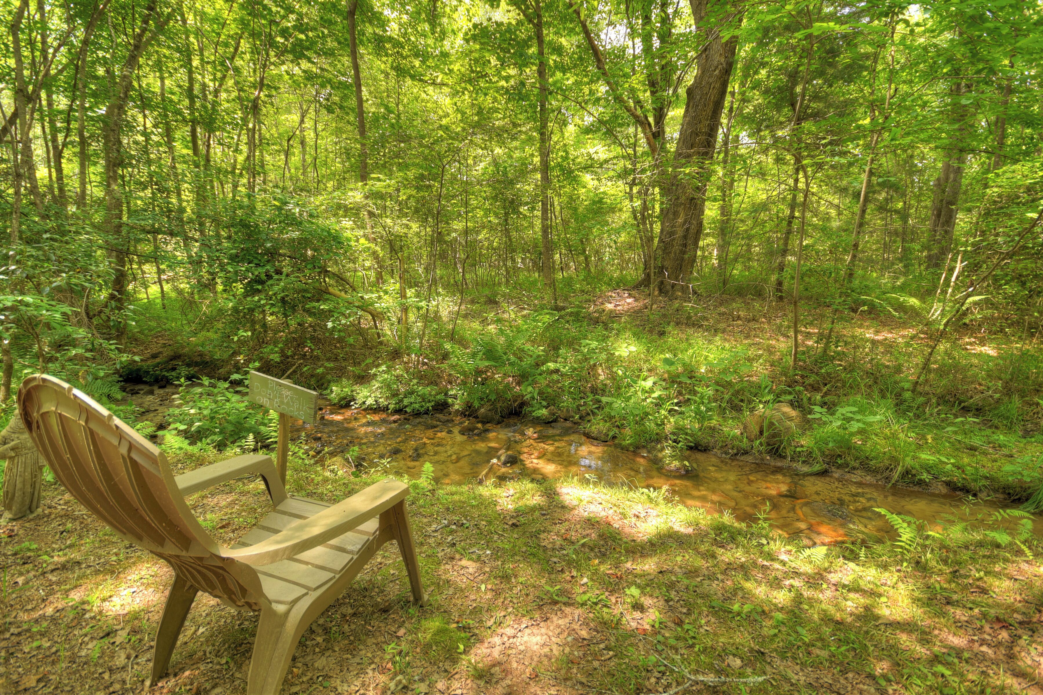 A wooden bench in a forested area with a small stream.