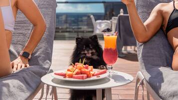 Un chien est assis à une table devant une assiette de pastèque et un verre, tandis que deux personnes sont allongées sur des chaises longues sur une terrasse offrant une belle vue.
