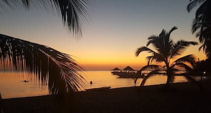 Exklusive karibische Oceanfront Villa CTG