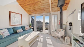 Télévision, cheminée, jeux vidéo, lecteur de DVD