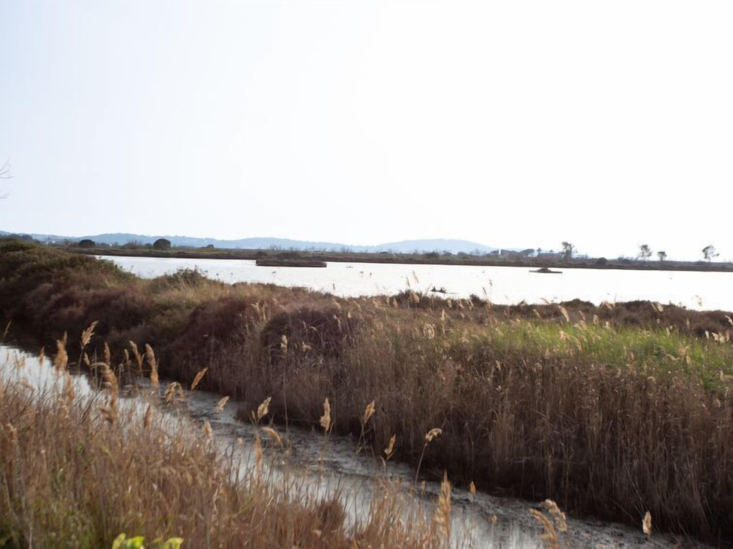 A natural landscape with a river, dry grass, and distant hills.
