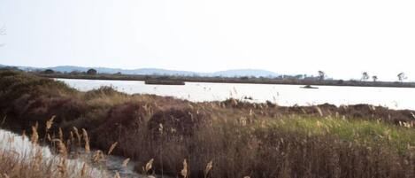 A natural landscape with a river, dry grass, and distant hills.
