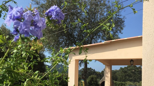 A covered outdoor seating area with a pergola, a garden with purple flowers, and a view of the surrounding landscape. - Charming Small Villa Any Comfort Ideal 4 People 2bedroom close Tizzano (Sartène)