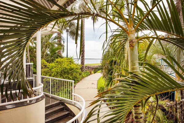 Căn hộ Deluxe, 3 phòng ngủ, quang cảnh bãi biển | Quang cảnh từ phòng