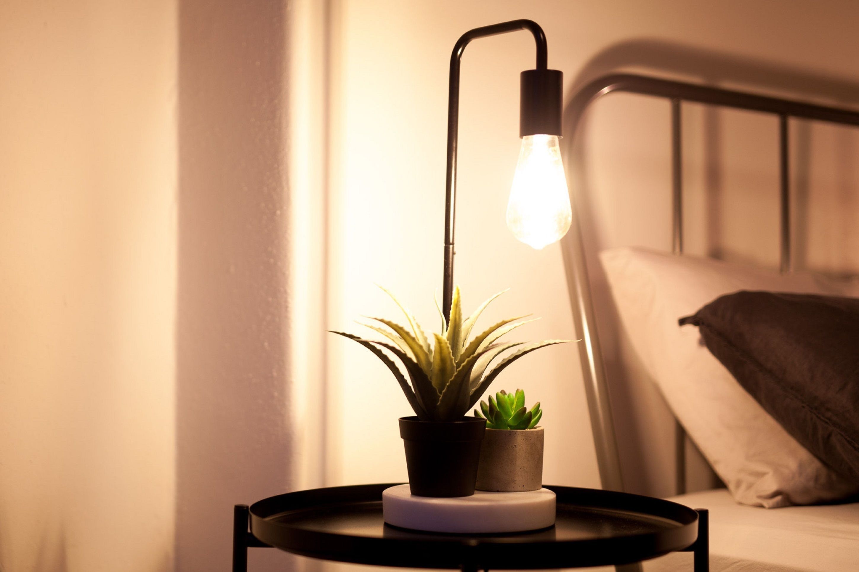 guest room | premium bedding, individually decorated, individually furnished