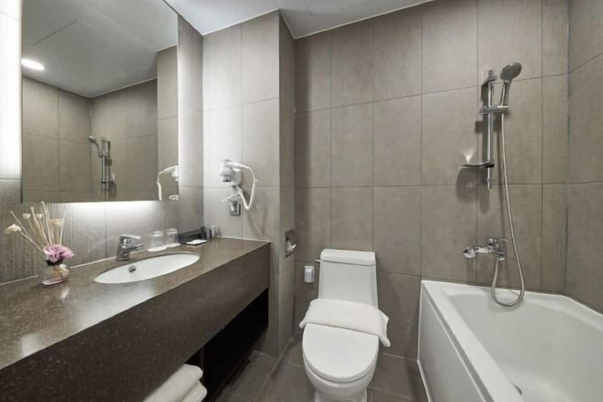 Combined shower/bathtub, free toiletries, hair dryer, bathrobes
