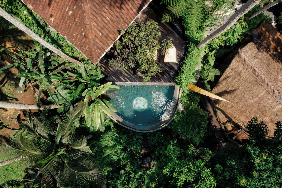 Vista aérea de um jardim exuberante com piscina, cercado por vegetação densa e um deck de madeira.