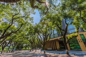 Une rue bordée d’arbres, avec un bâtiment moderne doté de grandes fenêtres et un ciel dégagé.
