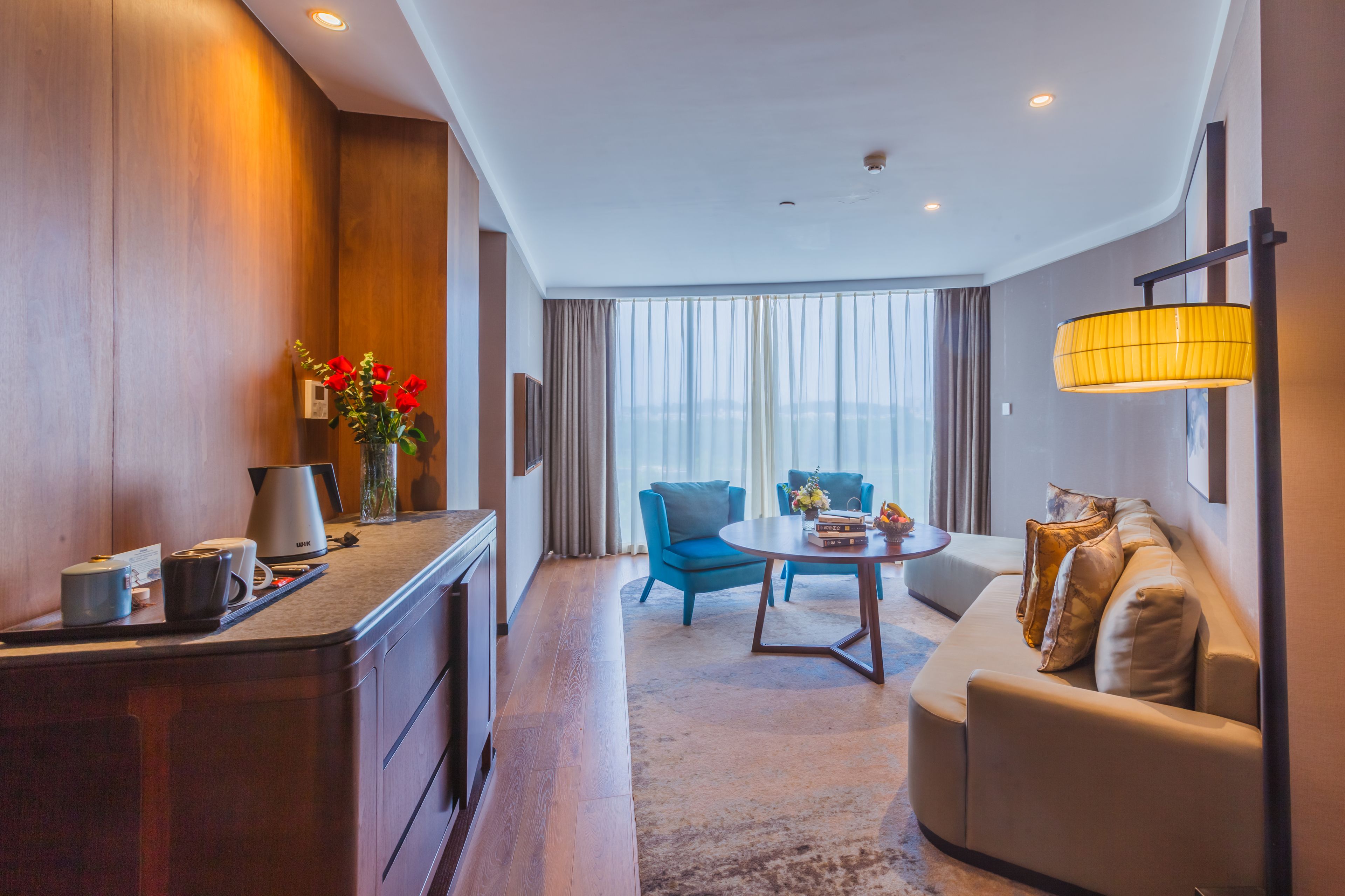 deluxe suite | living area | led tv