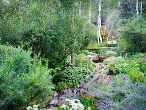 A garden with various plants and a small stream.
