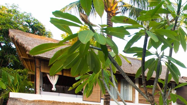 A resort with a pool, a wooden deck, and lush greenery. - The Mandana Gili Air (Gili Air)