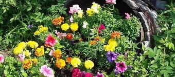 The Taiga 2, Studio Apartment