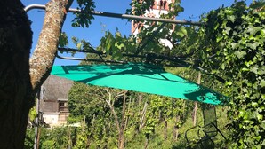 Une terrasse extérieure avec une table et des chaises, un parasol vert et une vue sur le clocher d’une église.