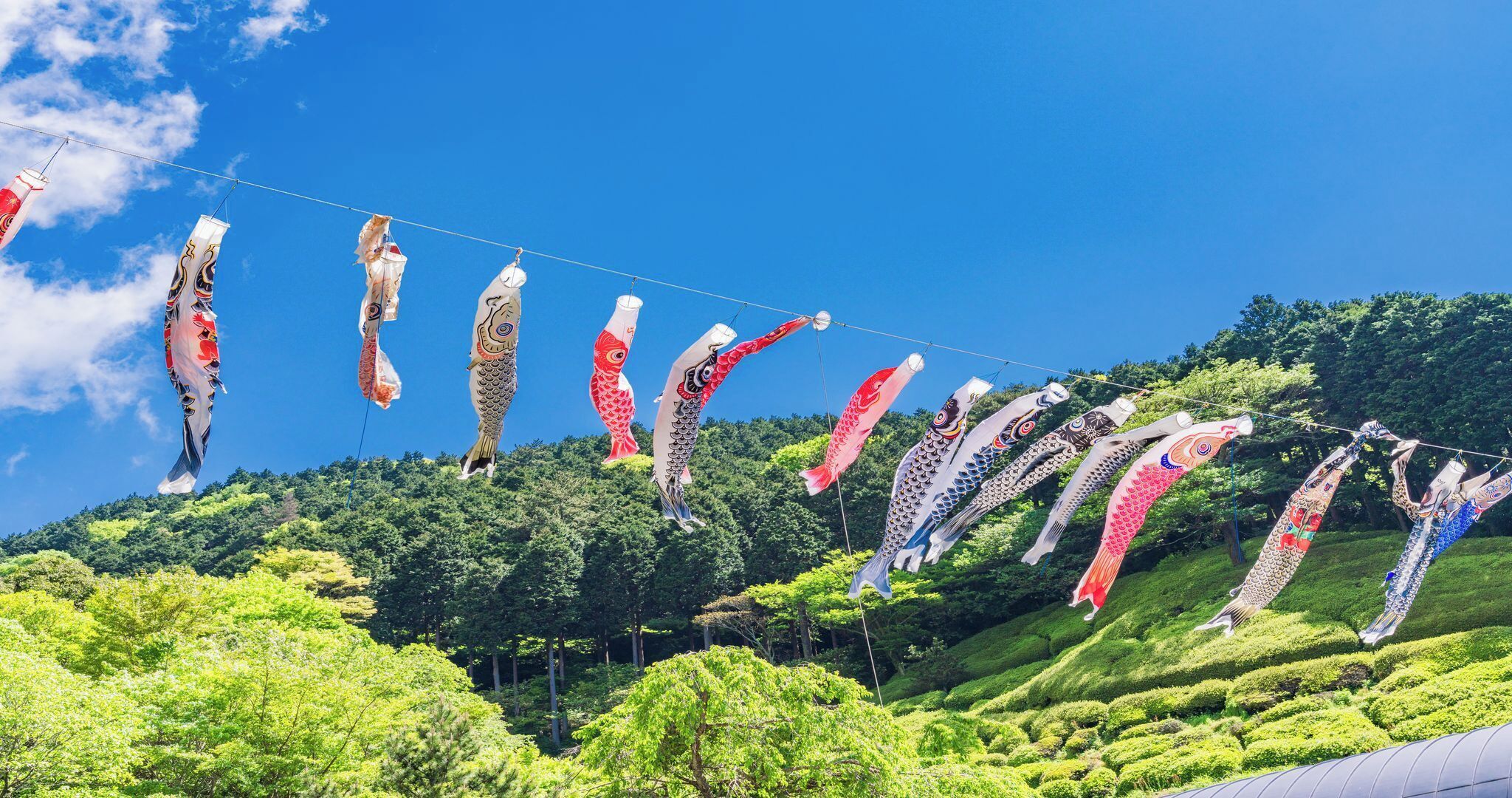 ランド ビュー