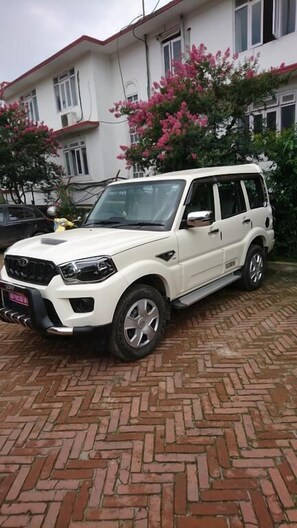 Terrace/patio - Three Boys Apartment and Guest House (Kathmandu)