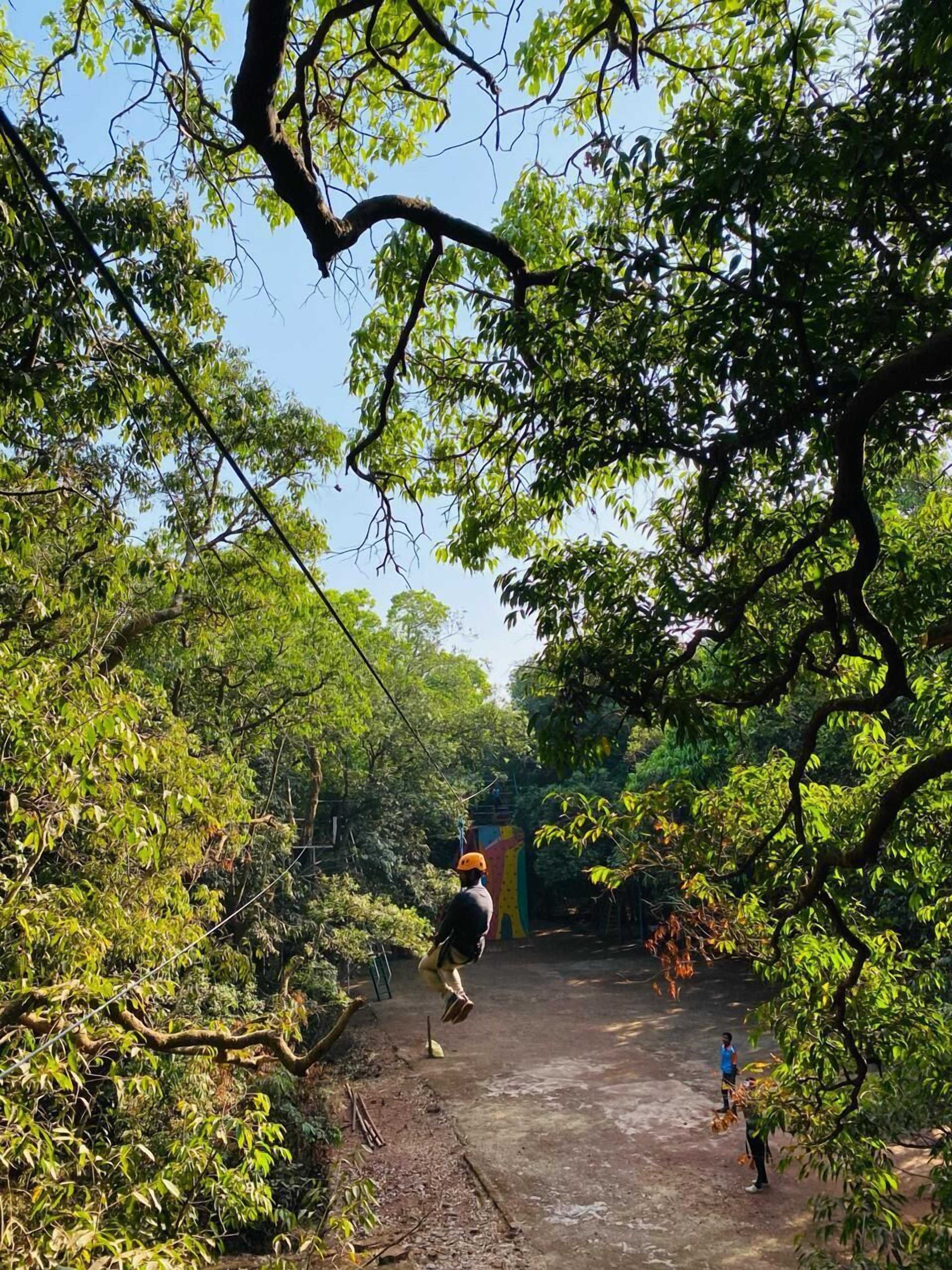 A natural setting with a dirt path, trees, and a colorful structure in the distance.