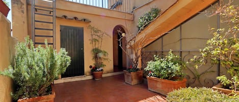 A courtyard with potted plants, a metal ladder, and a door.