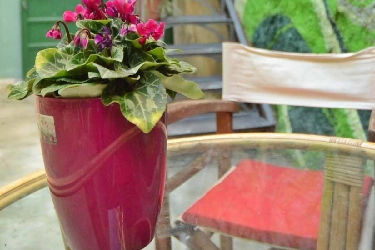 Quarto quádruplo, terraço (KonTiki) | Terraço/pátio