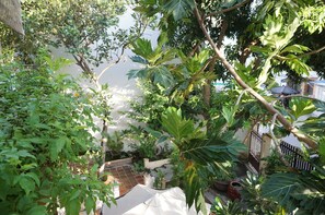 Garden - Moon House Nha Trang (Nha Trang)